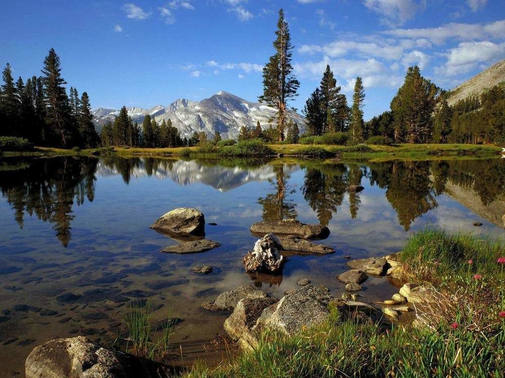 Lower Cascades Yosemite West Dış mekan fotoğraf